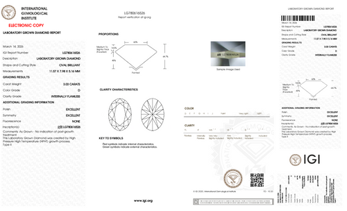 Oval Brilliant 3.03ct D IF